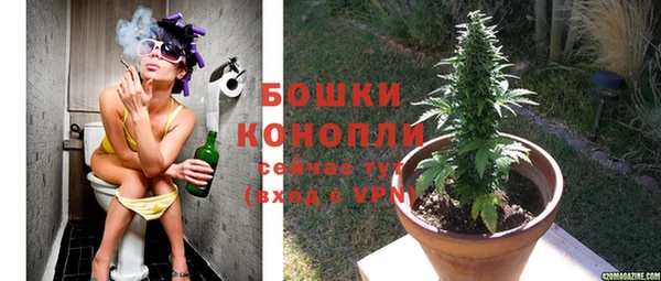 ПСИЛОЦИБИНОВЫЕ ГРИБЫ Протвино