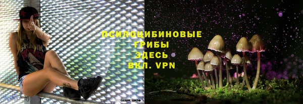 первитин Приозерск