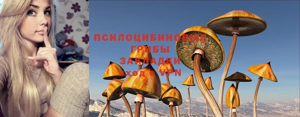 дмт Пролетарск