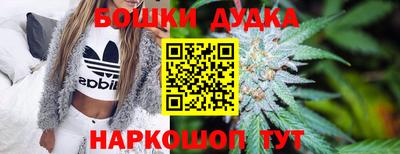 СК Ставрополь