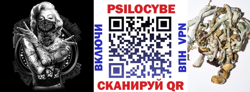 купить наркоту  Советск  Псилоцибиновые грибы Magic Shrooms 