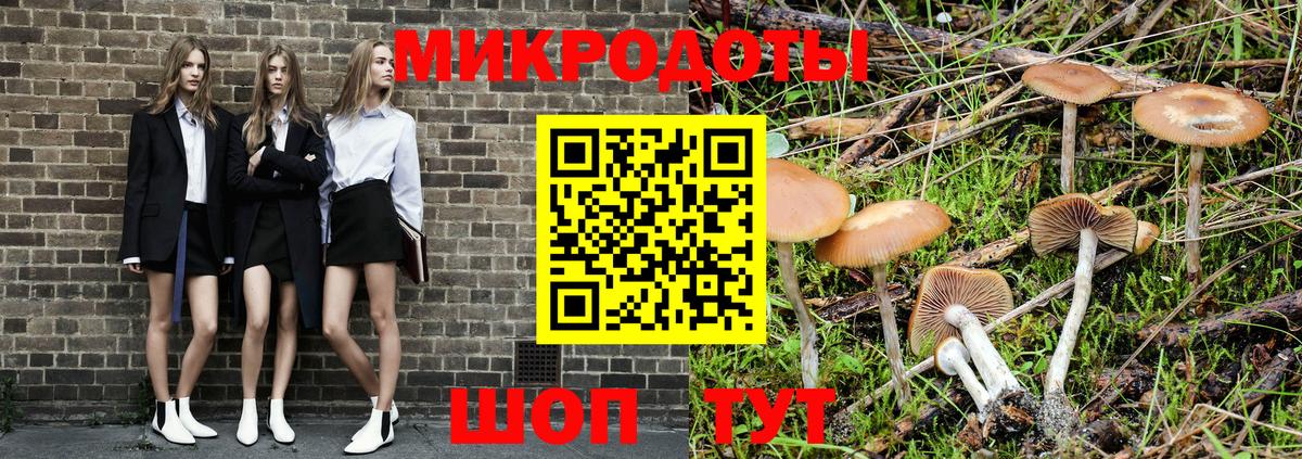 Галлюциногенные грибы мицелий  Галлюциногенные грибы Magic Shrooms  Советск  Вход с VPN 