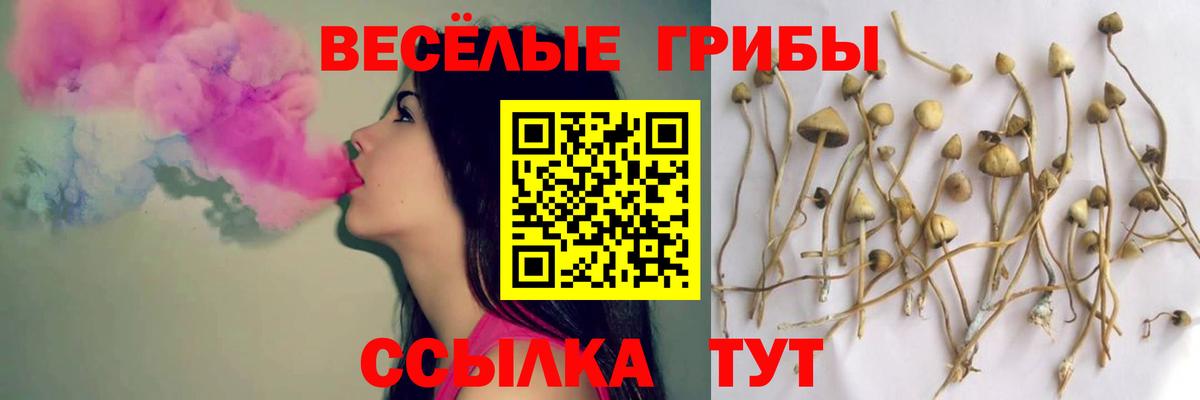 Псилоцибиновые грибы GOLDEN TEACHER Советск