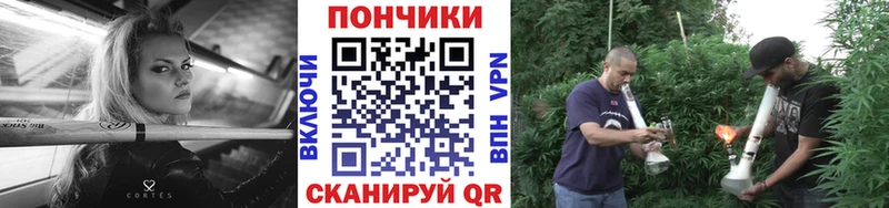 Конопля OG Kush  Советск 